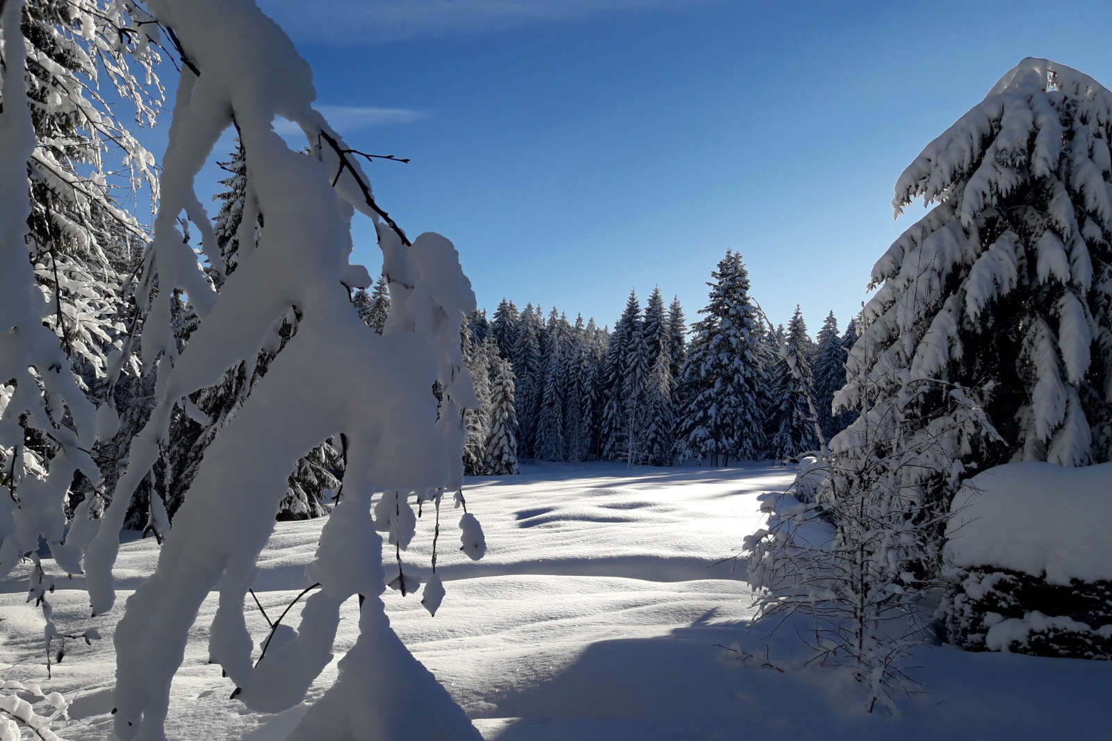 Schneeschuhwandern-Skischule-Schwarzenberg-1