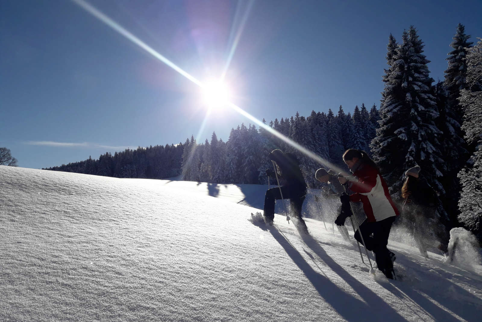 Schneeschuhwandern-Skischule-Schwarzenberg-2