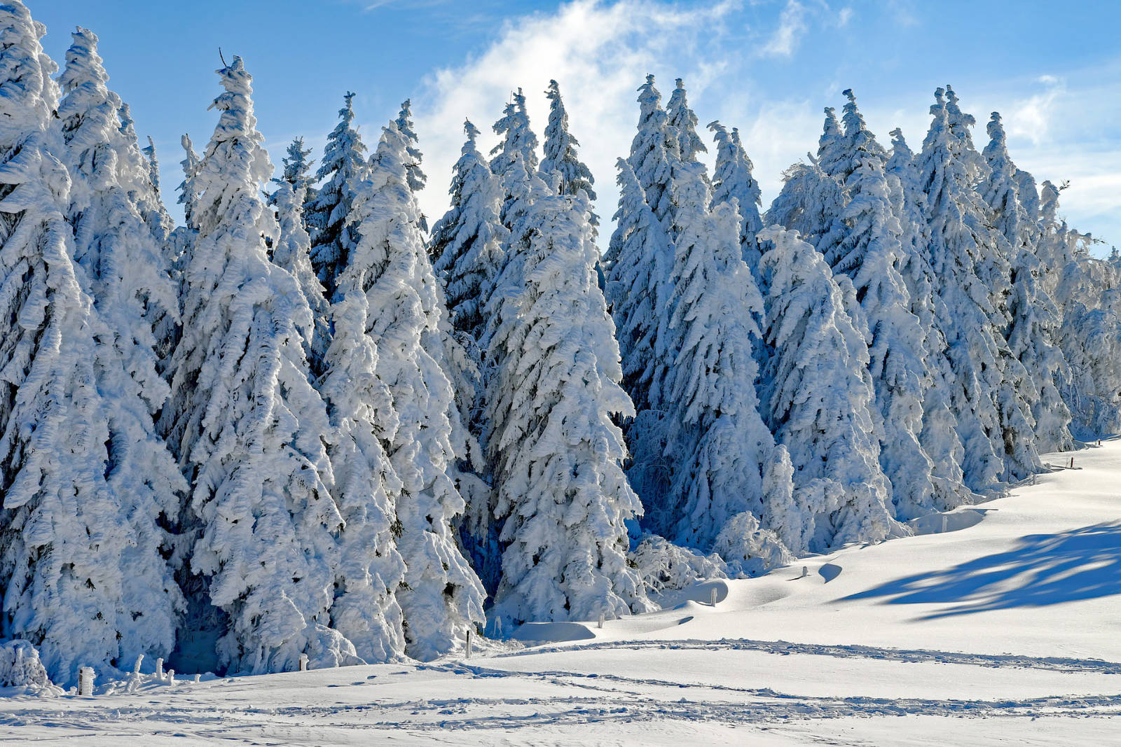 Skischule-schwarzenberg-winter